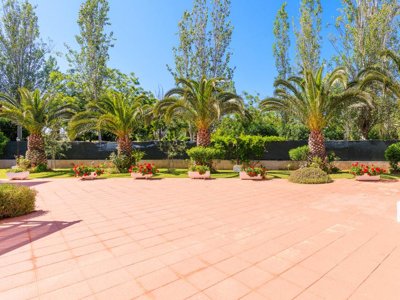 Cliquez pour découvrir toutes les photos de l'ÉTABLISSEMENT ! résidence Village Park II photo 3