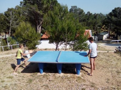 Cliquez pour découvrir toutes les photos de l'ÉTABLISSEMENT ! camping Le Bois De Pins photo 10