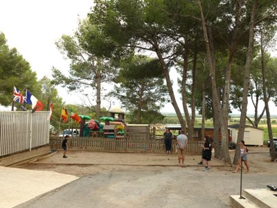 Cliquez pour découvrir toutes les photos de l'ÉTABLISSEMENT ! camping Le Bois De Pins photo 16
