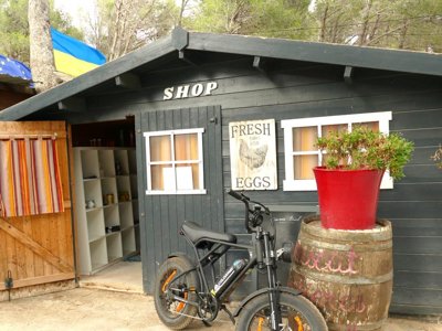 Cliquez pour découvrir toutes les photos de l'ÉTABLISSEMENT ! camping Le Bois De Pins photo 26
