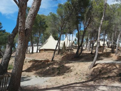 Cliquez pour découvrir toutes les photos de l'HÉBERGEMENT ! tente - Le Bois De Pins photo 2