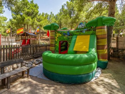 Cliquez pour découvrir toutes les photos de l'ÉTABLISSEMENT ! camping Le Bois De Pins photo 8