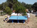 Cliquez pour découvrir toutes les photos de l'ÉTABLISSEMENT ! camping Le Bois De Pins photo 10