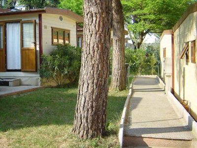 Cliquez pour découvrir toutes les photos de l'ÉTABLISSEMENT ! camping La Gardiola photo 11