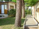 Cliquez pour découvrir toutes les photos de l'ÉTABLISSEMENT ! camping La Gardiola photo 11