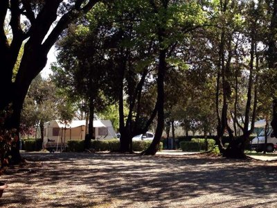 Cliquez pour découvrir toutes les photos de l'ÉTABLISSEMENT ! camping Boschetto Di Piemma photo 19