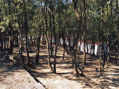 Cliquez pour découvrir toutes les photos de l'ÉTABLISSEMENT ! camping Boschetto Di Piemma photo 28