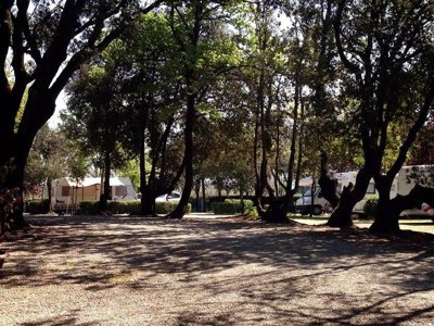 Cliquez pour découvrir toutes les photos de l'ÉTABLISSEMENT ! camping Boschetto Di Piemma photo 29