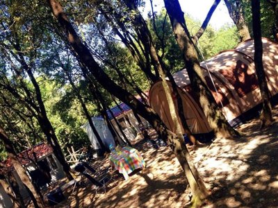 Cliquez pour découvrir toutes les photos de l'ÉTABLISSEMENT ! camping Boschetto Di Piemma photo 30
