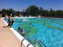 Cliquez pour découvrir toutes les photos de l'ÉTABLISSEMENT ! camping Boschetto Di Piemma photo 4