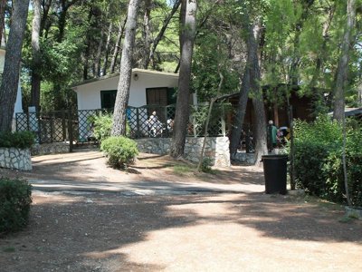 Cliquez pour découvrir toutes les photos de l'ÉTABLISSEMENT ! camping Internazionale San Menaio photo 10