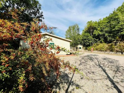 camping Village Mugello Verde photo 18