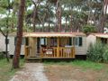 Cliquez pour découvrir toutes les photos de l'HÉBERGEMENT ! mobil-home - établissement Hu Park Albatros Village photo 3