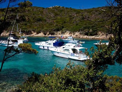 Cliquez pour découvrir toutes les photos de l'ÉTABLISSEMENT ! camping Olva photo 16