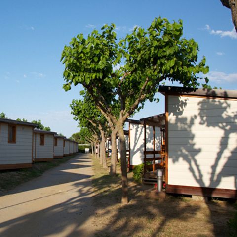 bungalow - Bon Repos photo 2
