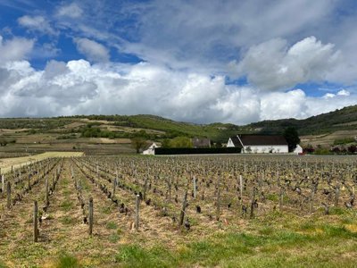 camping De Santenay photo 26