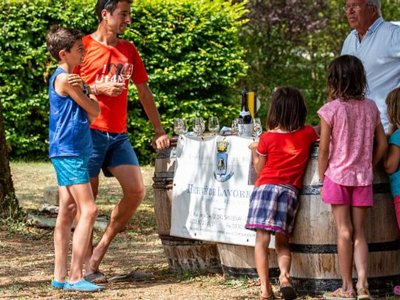 camping De Santenay photo 5