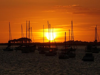 Cliquez pour découvrir toutes les photos de l'ÉTABLISSEMENT ! camping Les Mouettes photo 15