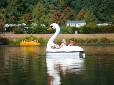 Cliquez pour découvrir toutes les photos de l'ÉTABLISSEMENT ! camping La Régie Du Lac De La Moselotte. photo 8