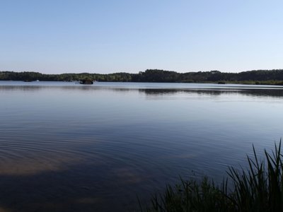 Cliquez pour découvrir toutes les photos de l'ÉTABLISSEMENT ! établissement Flower Les 2 Etangs photo 11