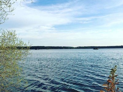 Cliquez pour découvrir toutes les photos de l'ÉTABLISSEMENT ! établissement Flower Les 2 Etangs photo 21
