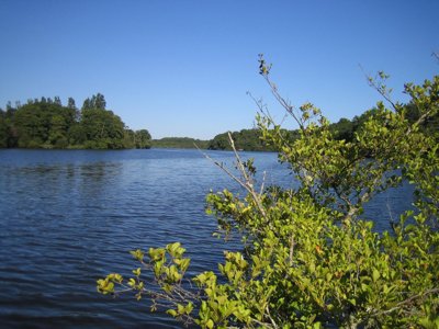 Cliquez pour découvrir toutes les photos de l'ÉTABLISSEMENT ! établissement Flower Les 2 Etangs photo 27