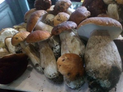 Cliquez pour découvrir toutes les photos de l'ÉTABLISSEMENT ! établissement Le Verdier photo 26