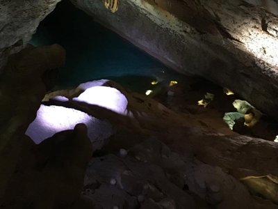 Cliquez pour découvrir toutes les photos de l'ÉTABLISSEMENT ! établissement Le Verdier photo 27