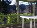 Cliquez pour découvrir toutes les photos de l'HÉBERGEMENT ! chalet - établissement Le Verdier photo 2