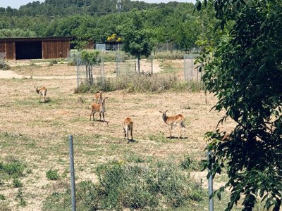 Cliquez pour découvrir toutes les photos de l'ÉTABLISSEMENT ! camping La Grange Neuve photo 13