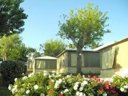bungalow toilé - camping Les Calquières photo 6