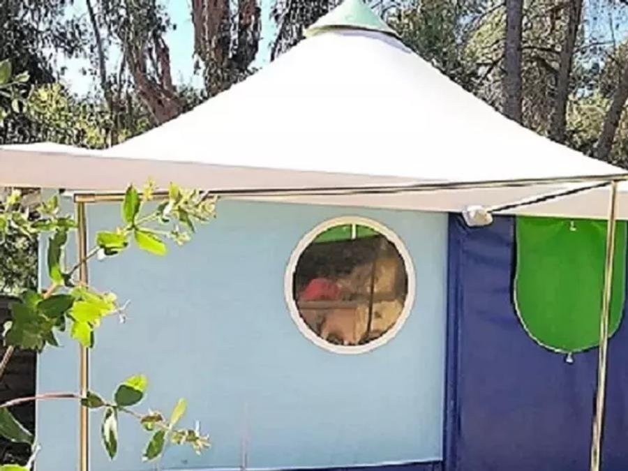 Camping Pas Cher vous présente avec son site Officiel campingpascher.fr, le Camping Ushuaïa Villages La Roudeliere classé 3 étoiles, situé sur la commune de Signes dans le département Var (Provence Alpes Côte D'azur) en France. Le camping Ushuaïa Villages La Roudeliere, vous présente un hébergement de type bungalow toilé de 25 m² pour 1 personne. Le camping Ushuaïa Villages La Roudeliere vous propose du lundi 07 septembre au lundi 14 septembre 2026 avec un DÉPART DEMAIN pour 7 nuits à 199€. Cette location propose 10 dates différentes pour réserver votre séjour. Découvrez également les 16 autres gammes d'hébergements du camping. Les Avis clients pour le Camping Ushuaïa Villages La Roudeliere sont excellents avec une note moyenne de 8 sur 10. Piscine extérieure, Pétanque, Randonnée, Dépôt de pain, Snack/Bar, Supermarché,... En savoir plus : cliquez-ICI.
