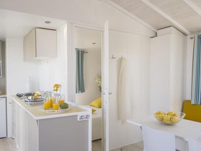 Cliquez pour découvrir toutes les photos de l'HÉBERGEMENT ! mobil-home - Les Playes photo 3