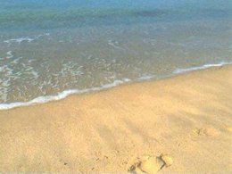 Camping Pas Cher vous présente avec son site Officiel campingpascher.fr, le Camping Maeva Escapades Les Playes classé 4 étoiles, situé sur la commune de Six-fours-les-plages dans le département Var (Provence Alpes Côte D'azur) en France. Le camping Maeva Escapades Les Playes vous propose un hébergement de type mobil-home de 20 m² avec climatisation (télévision). Cet hébergement propose plus de 9 dates différentes pour réserver ! Pour dévouvrir la période la moins chère, consultez la rubrique 'Tarifs' et sélectionnez votre mois de départ. L'établissement vous propose 8 autres types d'hébergements. Découvrez tous nos séjours à petits prix dans la commune et aux alentours de Six-fours-les-plages du département : Var (Provence Alpes Côte D'azur). Les Avis clients pour le Camping Maeva Escapades Les Playes sont excellents avec une note moyenne de 8 sur 10. Piscine chauffée, Piscine extérieure, Animations familiales, Club enfants, Aire de jeux enfants, Baby-foot, Canoë-kayak, Centre équestre, Court de tennis, Ping-pong, Pétanque, Randonnée, Bar, Dépôt de pain, Pizzeria, Plats à emporter, Snack/Bar, Supermarché,... En savoir plus : cliquez-ICI.