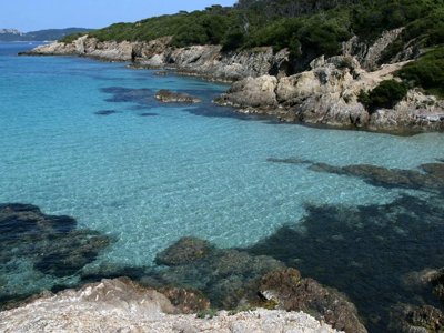 établissement Orly D'Azur photo 12