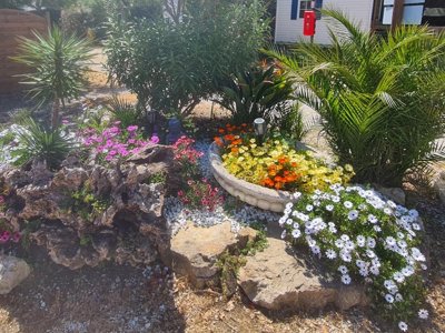 établissement Orly D'Azur photo 18