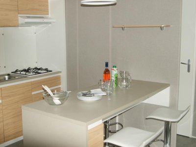 Cliquez pour découvrir toutes les photos de l'HÉBERGEMENT ! mobil-home - Flower Orly D'Azur photo 2