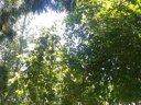 Cliquez pour découvrir toutes les photos de l'HÉBERGEMENT ! bungalow - camping Europa Beach photo 2