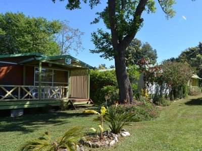 camping Marina Di Sorbo photo 2
