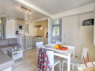 Cliquez pour découvrir toutes les photos de l'HÉBERGEMENT ! mobil-home - Flower Les Ondines photo 2