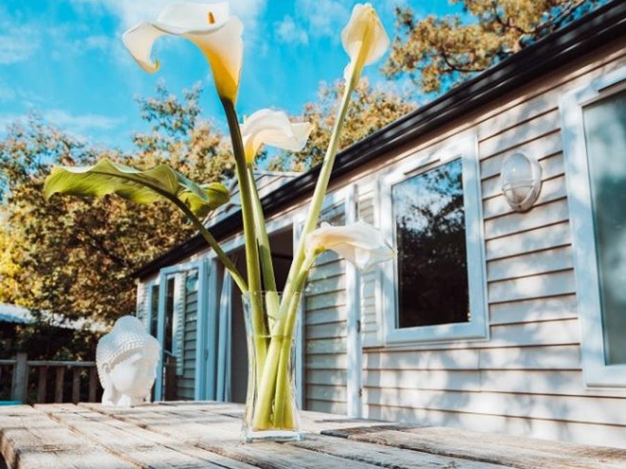 Camping Pas Cher vous présente avec son site Officiel campingpascher.fr, le Camping Des Pins classé 4 étoiles, situé sur la commune de Soulac Sur Mer dans le département Gironde (Aquitaine) en France. Le camping Des Pins vous propose un hébergement de type mobil-home de 38 m² pour 6 personnes. L'établissement vous propose 11 autres types d'hébergements. Découvrez tous nos séjours à petits prix dans la commune et aux alentours de Soulac Sur Mer du département : Gironde (Aquitaine). Les Avis clients pour le Camping Des Pins sont excellents avec une note moyenne de 8 sur 10. Parc aquatique, Piscine chauffée, Piscine extérieure, Animations familiales, Club enfants, Aire de jeux enfants, Centre équestre, Court de tennis, Cyclisme, Jet-ski, Location de bateaux, Paddle, Ping-pong, Pétanque, Skatepark, Surf, Terrain de beach-volley, Bar, Dépôt de pain, Pizzeria, Plats à emporter, Snack/Bar, Épicerie,... En savoir plus : cliquez-ICI.