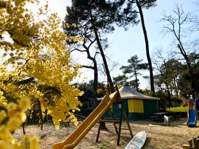 Cliquez pour découvrir toutes les photos de l'ÉTABLISSEMENT ! camping Nicoll’s Camp/Pins photo 13