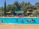 Cliquez pour découvrir toutes les photos de l'ÉTABLISSEMENT ! camping Nicoll’s Camp/Pins photo 3