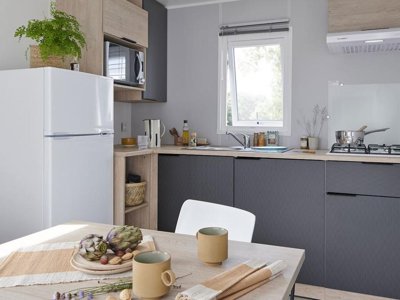 Cliquez pour découvrir toutes les photos de l'HÉBERGEMENT ! mobil-home - Mussonville photo 2