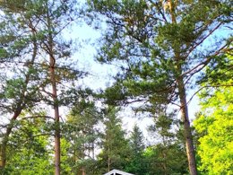 Camping Pas Cher vous présente avec son site Officiel campingpascher.fr, le Camping Maeva Escapade Les Trois Sources classé 4 étoiles, situé sur la commune de Sousceyrac dans le département Lot (Midi Pyrénées) en France. Le camping Maeva Escapade Les Trois Sources, vous présente un hébergement de type maison de campagne de 75 m² pour 9 personnes avec climatisation et télévision. Le camping Maeva Escapade Les Trois Sources vous proposeun séjour PAS CHER avec une REMISEdu sam. 25 avril au sam. 02 mai 2026, en promotion à -30% pour 7 nuits à 309 € au lieu de 441,43 € soit une Économie de 132,43 €. Cette location propose 71 dates différentes pour réserver votre séjour. Découvrez également les 7 autres gammes d'hébergements du camping. Les Avis clients pour le Camping Maeva Escapade Les Trois Sources sont excellents avec une note moyenne de 8 sur 10. RivièreÉtang, Piscine chauffée, Piscine extérieure, Animations familiales, Club ados, Club enfants, Aire de jeux enfants, Baby-foot, Canoë-kayak, Paddle, Parcours sportif, Ping-pong, Piscine, Pédalo, Pétanque, Randonnée, Structure gonflable enfants, Terrain multisports, Trampoline, Bar, Dépôt de pain, Pizzeria, Snack/Bar, Épicerie,... En savoir plus : cliquez-ICI.