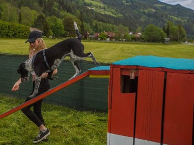 Cliquez pour découvrir toutes les photos de l'ÉTABLISSEMENT ! établissement Bella Austria photo 13
