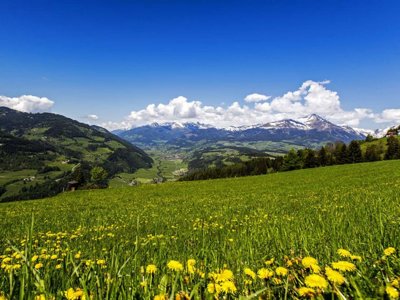 Cliquez pour découvrir toutes les photos de l'ÉTABLISSEMENT ! établissement Bella Austria photo 17