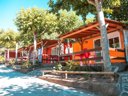 Camping Pas Cher vous présente avec son site Officiel campingpascher.fr, le Camping Prades Park classé 4 étoiles, situé sur la commune de Prades dans le département Tarragone (Catalogne) en Espagne. Le camping Prades Park vous propose un hébergement de type mobil-home de 20 m² (télévision). Cet hébergement propose plus de 4 dates différentes pour réserver ! Pour dévouvrir la période la moins chère, consultez la rubrique 'Tarifs' et sélectionnez votre mois de départ. L'établissement vous propose 9 autres types d'hébergements. Découvrez tous nos séjours à petits prix dans la commune et aux alentours de Prades du département : Tarragone (Catalogne). Les Avis clients pour le Camping Prades Park sont excellents avec une note moyenne de 8 sur 10. Lac, Piscine extérieure, Animations familiales, Club enfants, Aire de jeux enfants, Canoë-kayak, Centre équestre, Cyclisme, Ping-pong, Terrain de basketball, Terrain de beach-volley, Terrain de football, Bar, Restaurant, Station-service, Supermarché, Épicerie,... En savoir plus : cliquez-ICI.