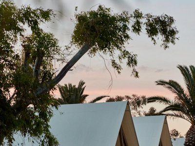 Cliquez pour découvrir toutes les photos de l'ÉTABLISSEMENT ! camping Taiga Delta De L'Ebre photo 25