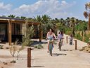 Cliquez pour découvrir toutes les photos de l'HÉBERGEMENT ! mobil-home - camping TAIGA Delta De L’Ebre photo 7